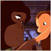 Tarzan : photo