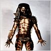 Predator 2 : Photo Stephen Hopkins