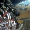 Aliens of the Deep : photo James Cameron, Steven Quale