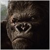 King Kong : affiche Peter Jackson