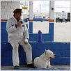 Bombon el perro : photo Carlos Sorín, Juan Villegas