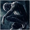 Spider-Man 3 : Affiche Sam Raimi, Tobey Maguire