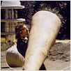 Woody et les robots : Photo Woody Allen
