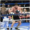 Rocky Balboa : photo Sylvester Stallone