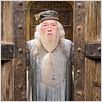 Harry Potter et l'Ordre du Phénix : photo David Yates, Michael Gambon