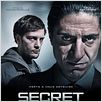 Secret Défense : affiche Philippe Haïm