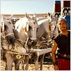 Astérix aux Jeux Olympiques : photo Clovis Cornillac, Frédéric Forestier, Thomas Langmann