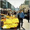 Coup de foudre à Notting Hill : photo Hugh Grant, Roger Michell