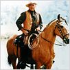 Bonanza : photo