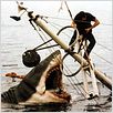 Les Dents de la Mer : photo Roy Scheider, Steven Spielberg