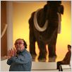 Musée haut, musée bas : photo Jean-Michel Ribes