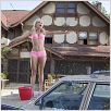 Super blonde : photo Anna Faris, Fred Wolf