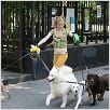 Whatever Works : photo Evan Rachel Wood, Woody Allen