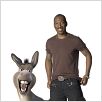 Shrek 4, il était une fin : photo Mike Mitchell