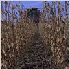 Food, Inc. : photo Robert Kenner