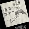 Waking Sleeping Beauty : affiche