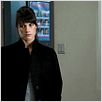 Photo Missy Peregrym