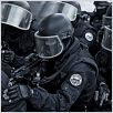 L'Assaut : Photo Julien Leclercq