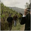 L'Étrange affaire Angélica : photo Manoel de Oliveira
