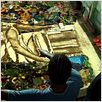 Waste Land : photo Lucy Walker