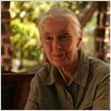 Jane Goodall : retour à Gombe : photo