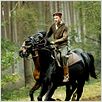 Cheval de guerre : Photo David Kross, Steven Spielberg