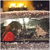 Je te promets - The Vow : photo