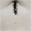 The Human Centipede 2 (Full Sequence) : photo