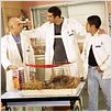H : photo Eric Judor, Jamel Debbouze, Ramzy Bedia