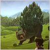 L'Ours Montagne : photo