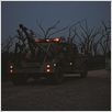 Killing Fields : photo