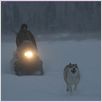 Happy People: A Year in the Taiga : photo