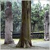 Wandlungen - Richard Wilhelm und das I Ging : photo