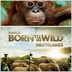 Born to Be Wild : affiche