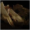 The Vintner's Luck : photo Niki Caro
