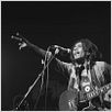Marley : photo