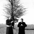Il Bidone : Photo Broderick Crawford, Richard Basehart
