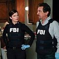 Esprits criminels : photo Jeanne Tripplehorn, Joe Mantegna