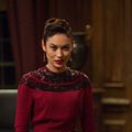 Vampire Academy : Photo Olga Kurylenko