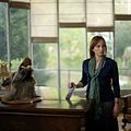 My Old Lady : Photo Kristin Scott Thomas