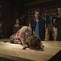 Zombeavers : Photo Cortney Palm, Hutch Dano, Jake Weary, Lexi Atkins