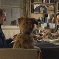 Absolutely Anything : Photo Kate Beckinsale, Simon Pegg