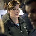 Photo Marcia Gay Harden