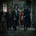 Les Animaux fantastiques : Photo Alison Sudol, Dan Fogler, Eddie Redmayne, Katherine Waterston