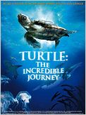 Turtle: The Incredible Journey
