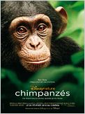 Chimpanzés
