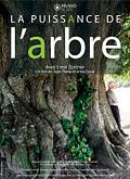 La Puissance de l'arbre avec Ernst Zrcher
