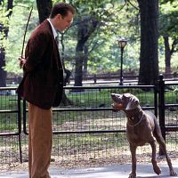 Coup de foudre à Manhattan : photo Ralph Fiennes