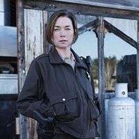 Photo Julianne Nicholson