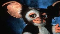 <strong>Gremlins 2, la nouvelle génération</strong> Bande-annonce (2) VO